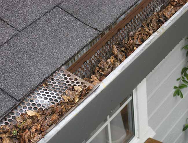 GUTTER MAINTENANCE