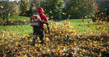 best backpack leaf blower