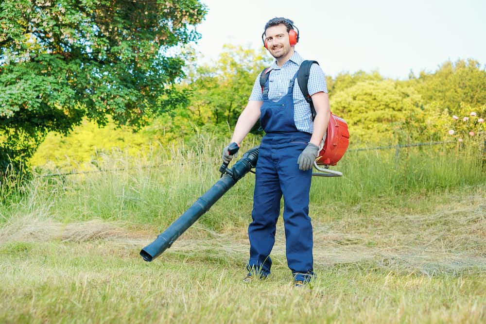 best backpack leaf blower