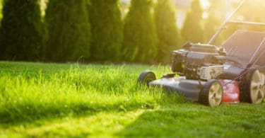 can i mow after overseeding my lawn at home