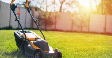 best lawn mower under 300